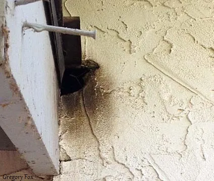 Wall Staining