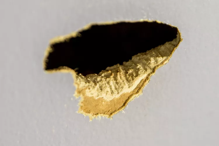 Gnaw Marks in Drywall